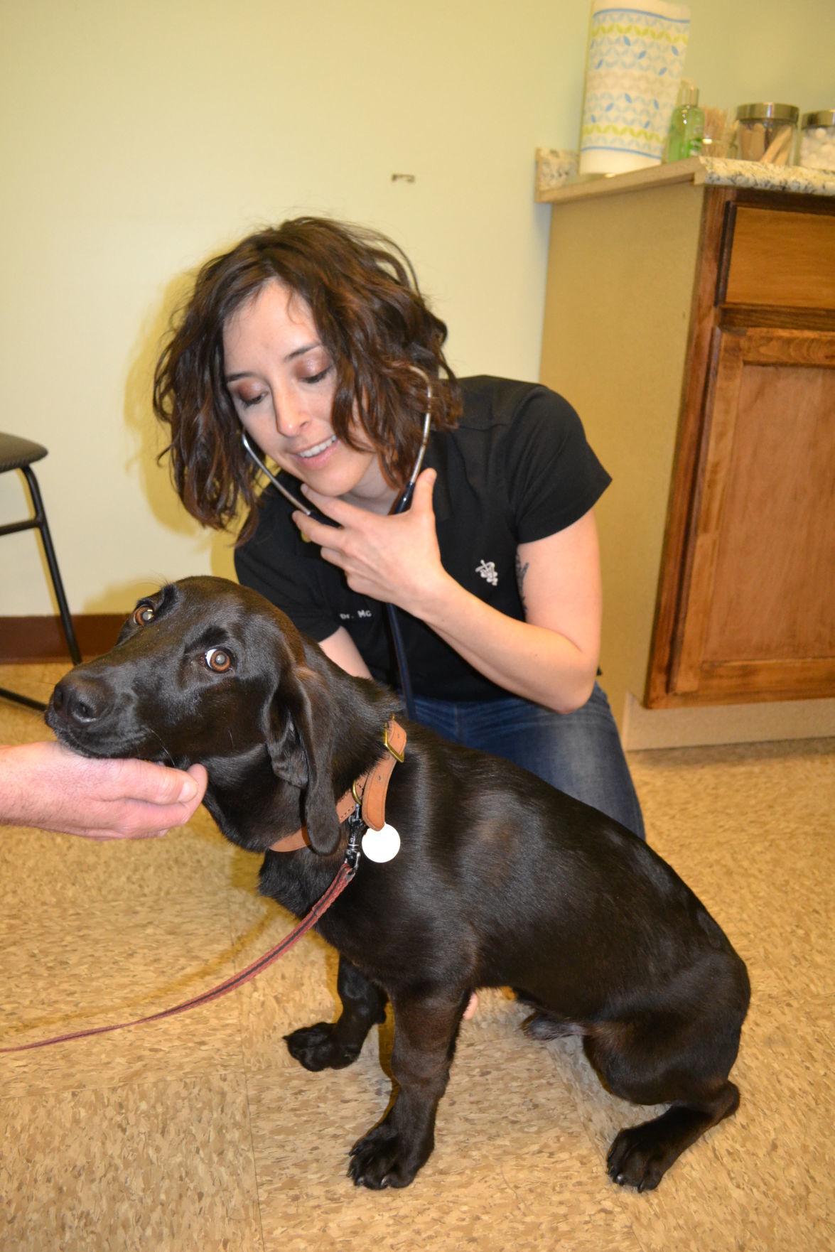 Magnolia Springs Veterinary Center